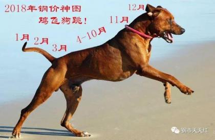 點(diǎn)擊查看原圖 微信圖片_20171211105947.jpg